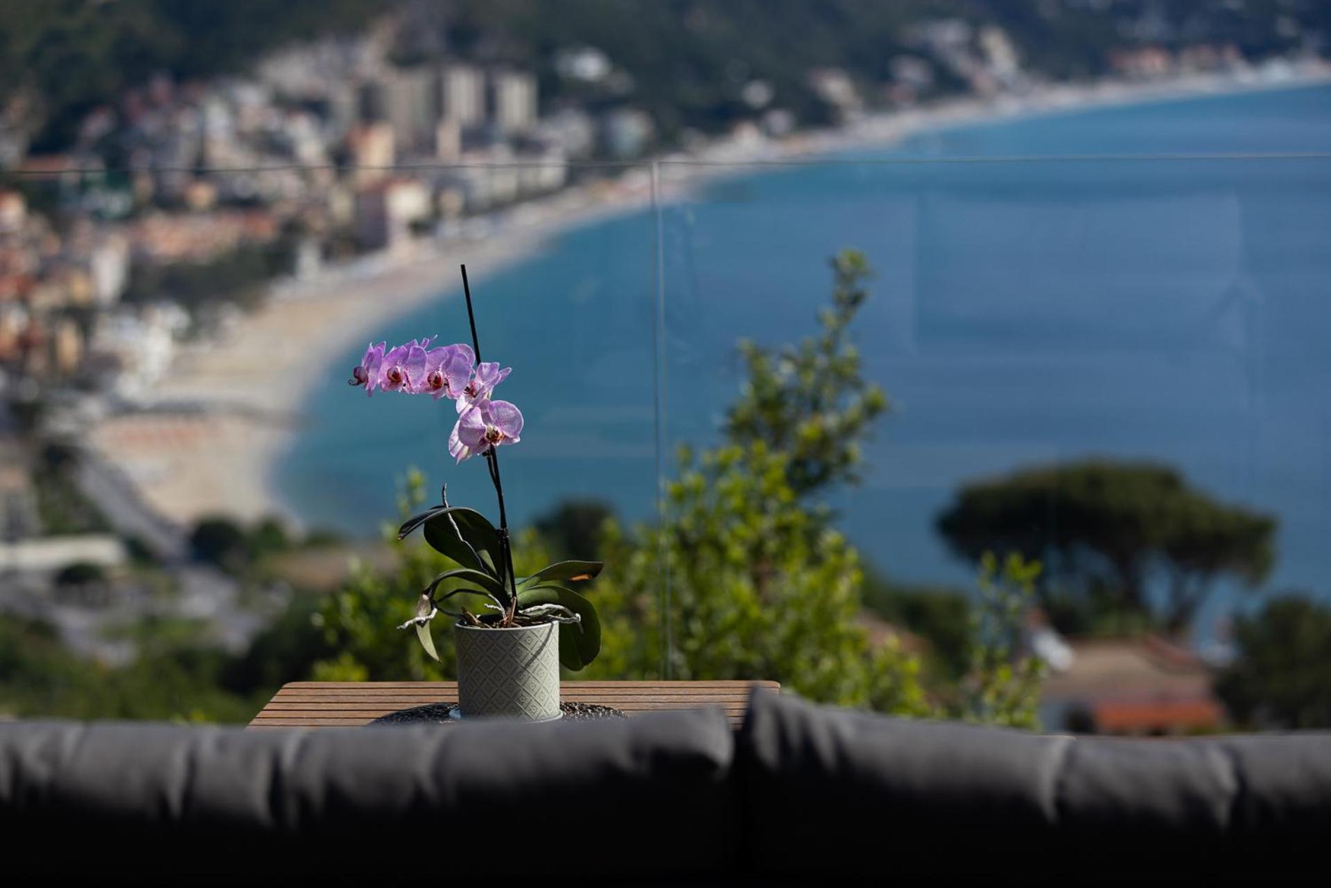 Spettacolare Vista Isola Terrazza E Idromassaggio Villa Noli Luaran gambar